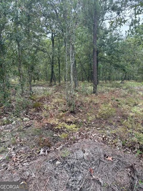 222 LAURE Collins, GA 30421