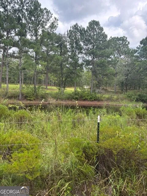 222 LAURE Collins, GA 30421