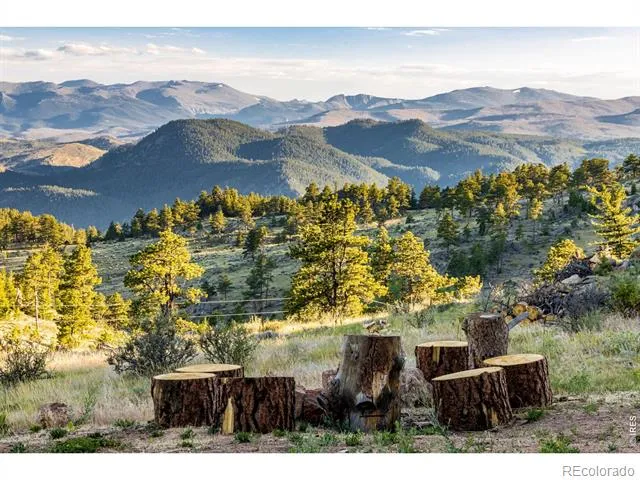5433 Rim Road Livermore, CO 80536