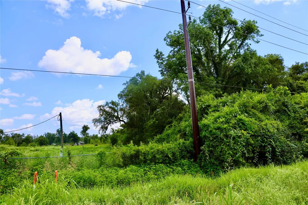 1462 Cr-39 Rosharon, TX 77583