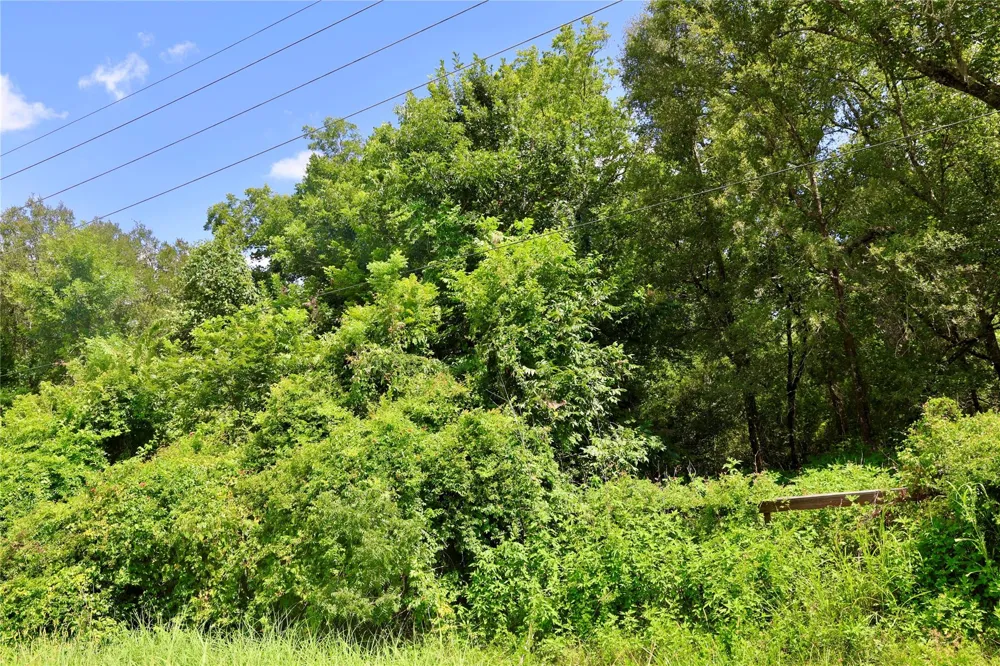 1462 Cr-39 Rosharon, TX 77583