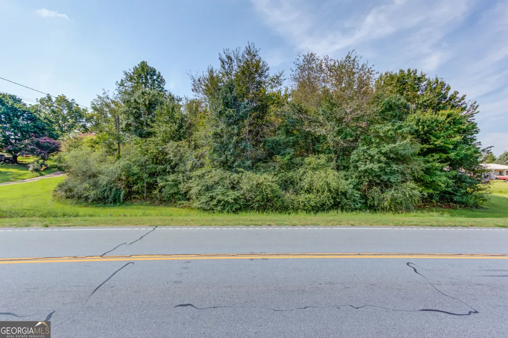 10154 Duncan Bridge RD Cleveland, GA 30528