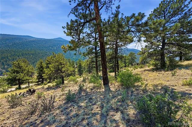 61 Cline Drive Shawnee, CO 80475
