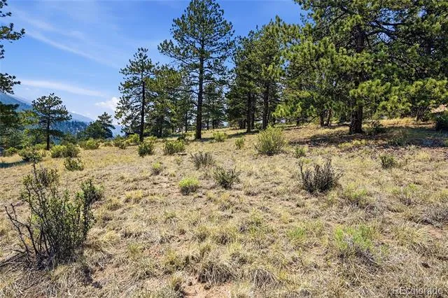 61 Cline Drive Shawnee, CO 80475