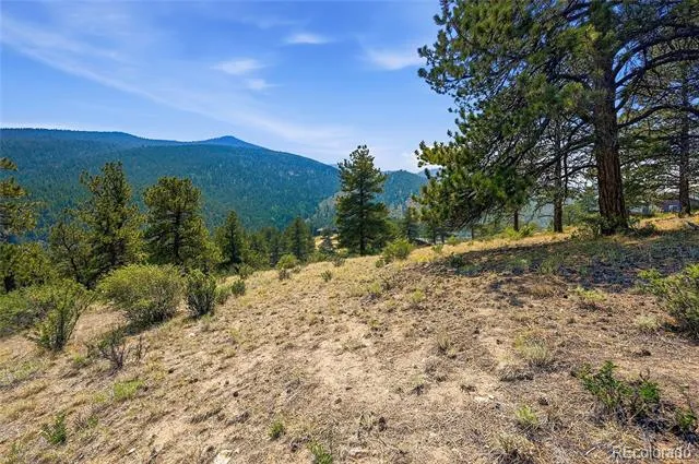 61 Cline Drive Shawnee, CO 80475