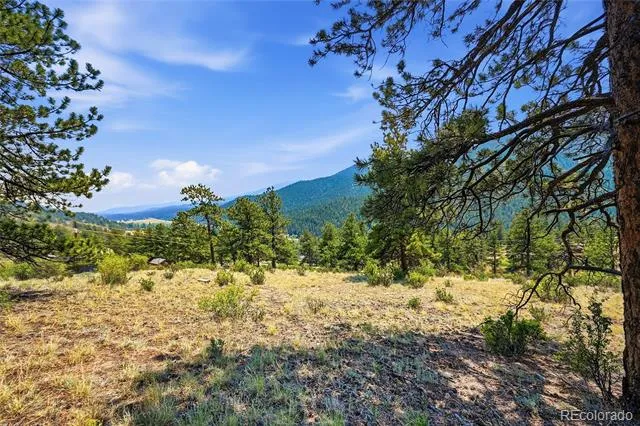 61 Cline Drive Shawnee, CO 80475