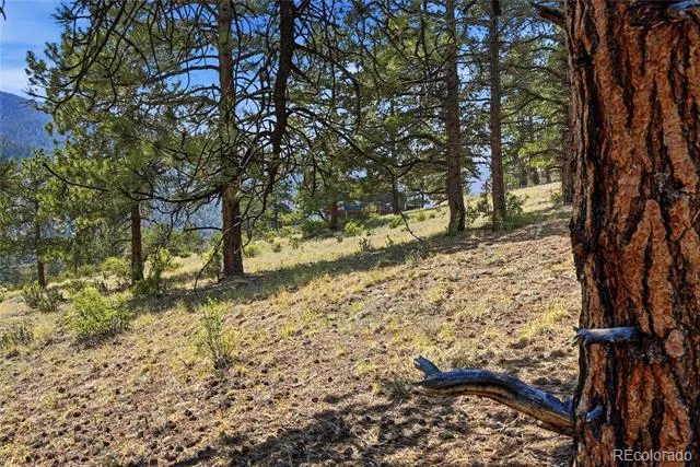 61 Cline Drive Shawnee, CO 80475