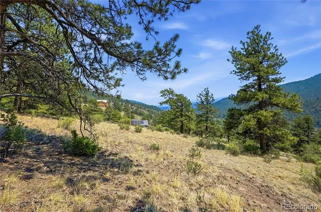 61 Cline Drive Shawnee, CO 80475
