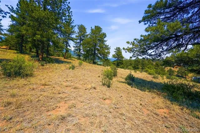 61 Cline Drive Shawnee, CO 80475