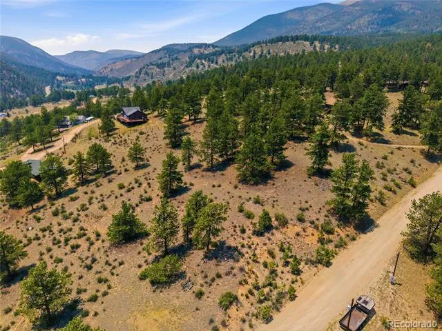 61 Cline Drive Shawnee, CO 80475