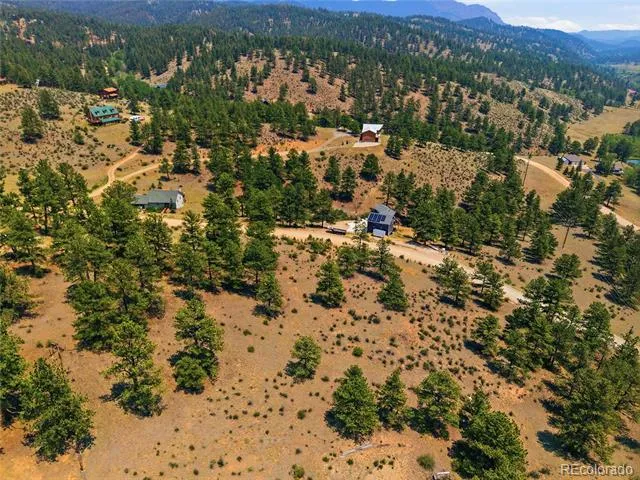 61 Cline Drive Shawnee, CO 80475