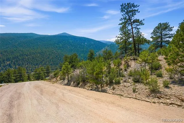 61 Cline Drive Shawnee, CO 80475