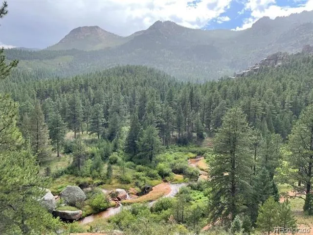 61 Cline Drive Shawnee, CO 80475