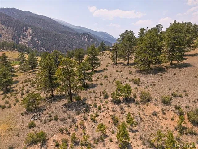 61 Cline Drive Shawnee, CO 80475