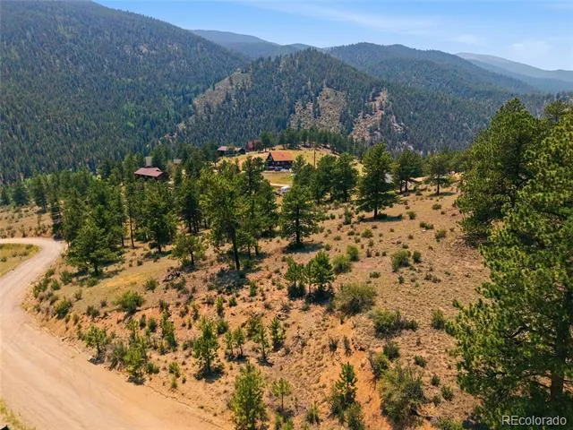 61 Cline Drive Shawnee, CO 80475