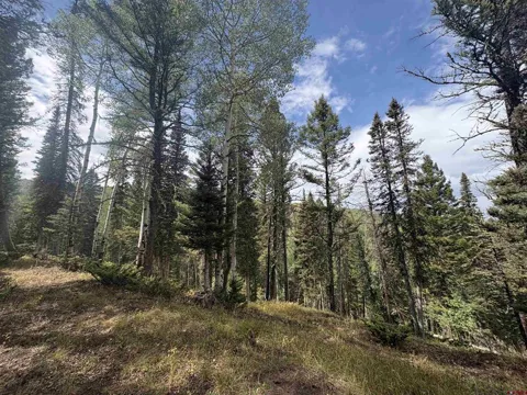 425 Rim Road