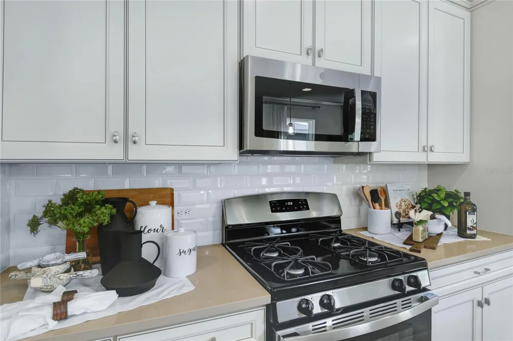 5316 SPRING MAIDEN CIRCLE Apollo Beach, FL 33572