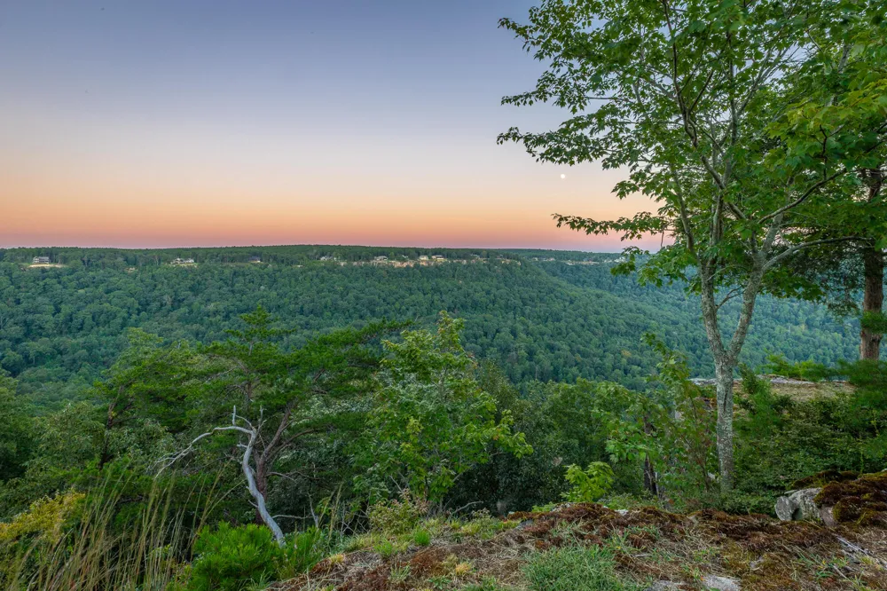 3775 Crockett Pointe Jasper, TN 37347