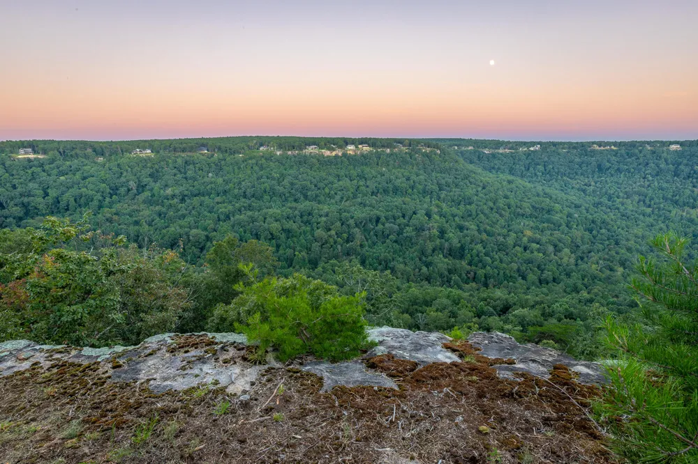 3775 Crockett Pointe Jasper, TN 37347