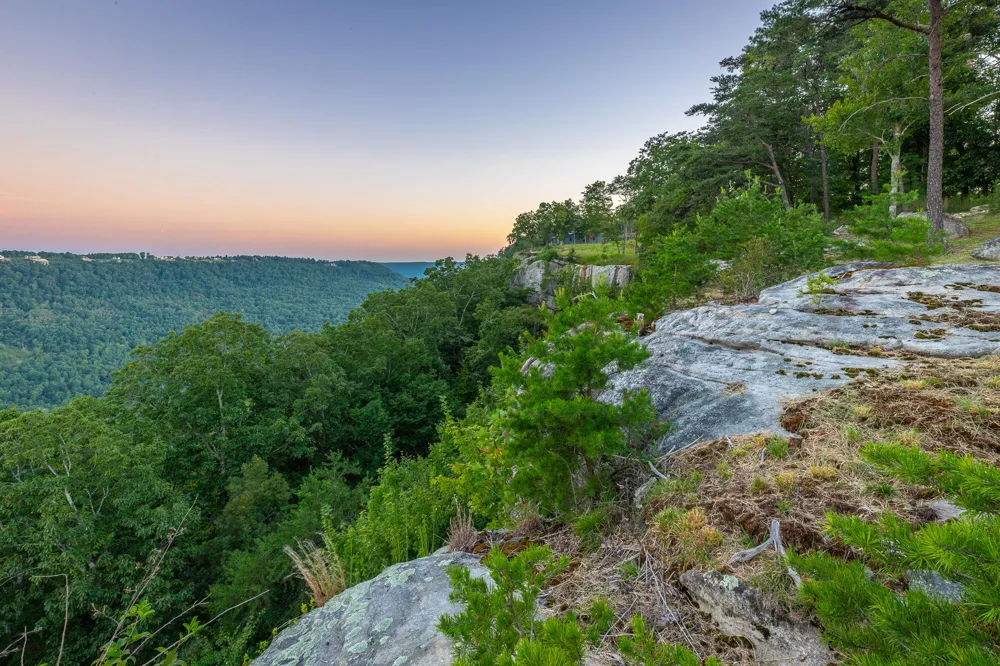 3775 Crockett Pointe Jasper, TN 37347