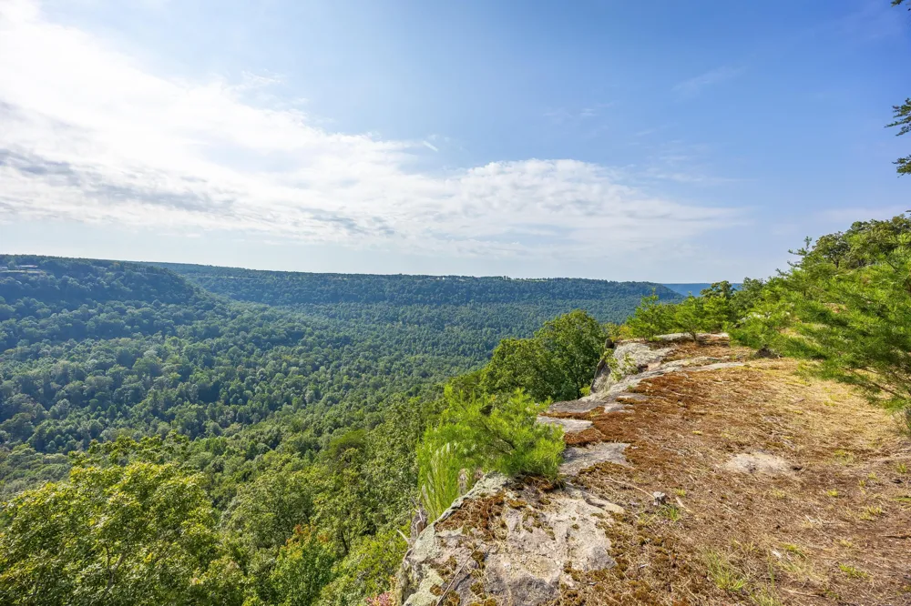 3775 Crockett Pointe Jasper, TN 37347