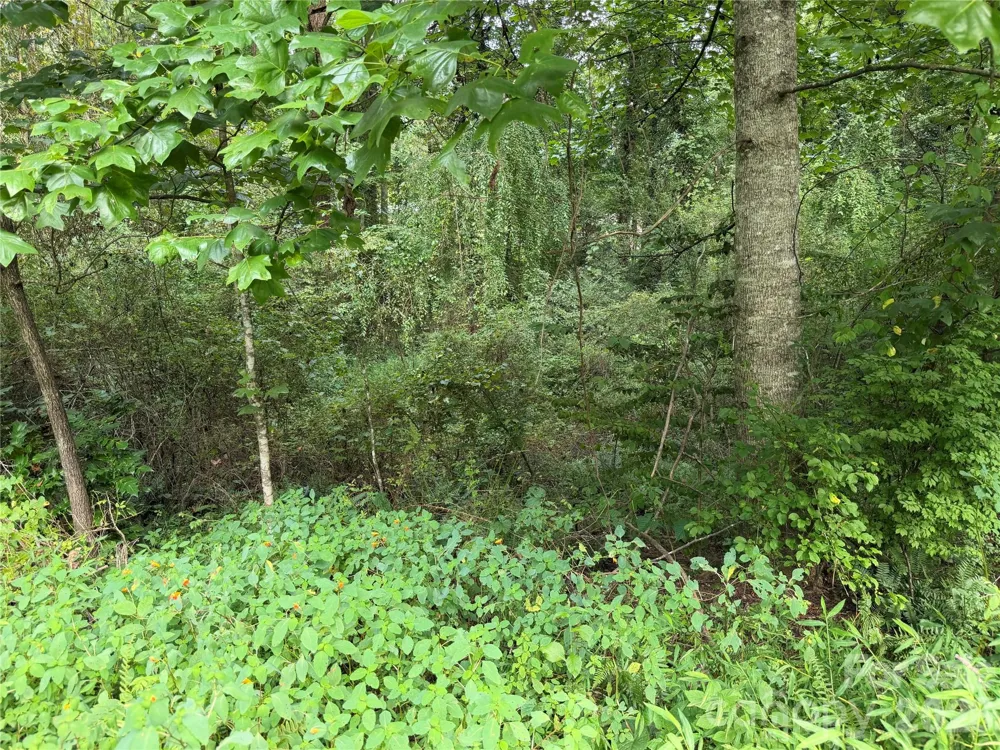 Off Meadowbrook Circle Brevard, NC 28712