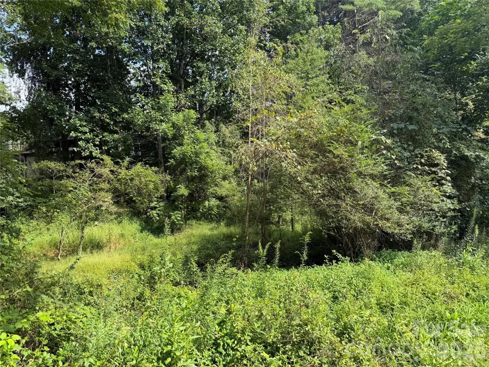 Off Meadowbrook Circle Brevard, NC 28712