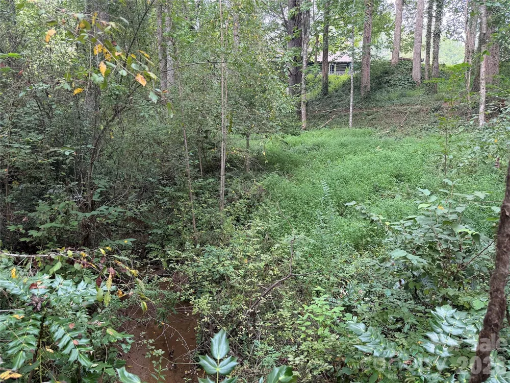 Off Meadowbrook Circle Brevard, NC 28712