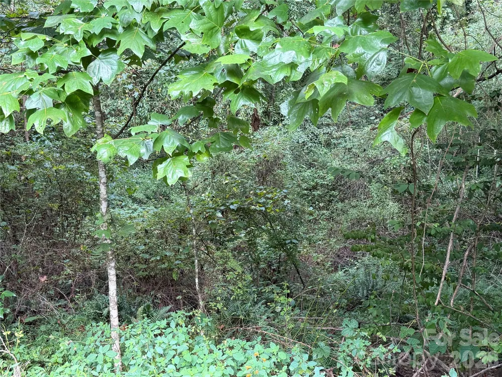 Off Meadowbrook Circle Brevard, NC 28712