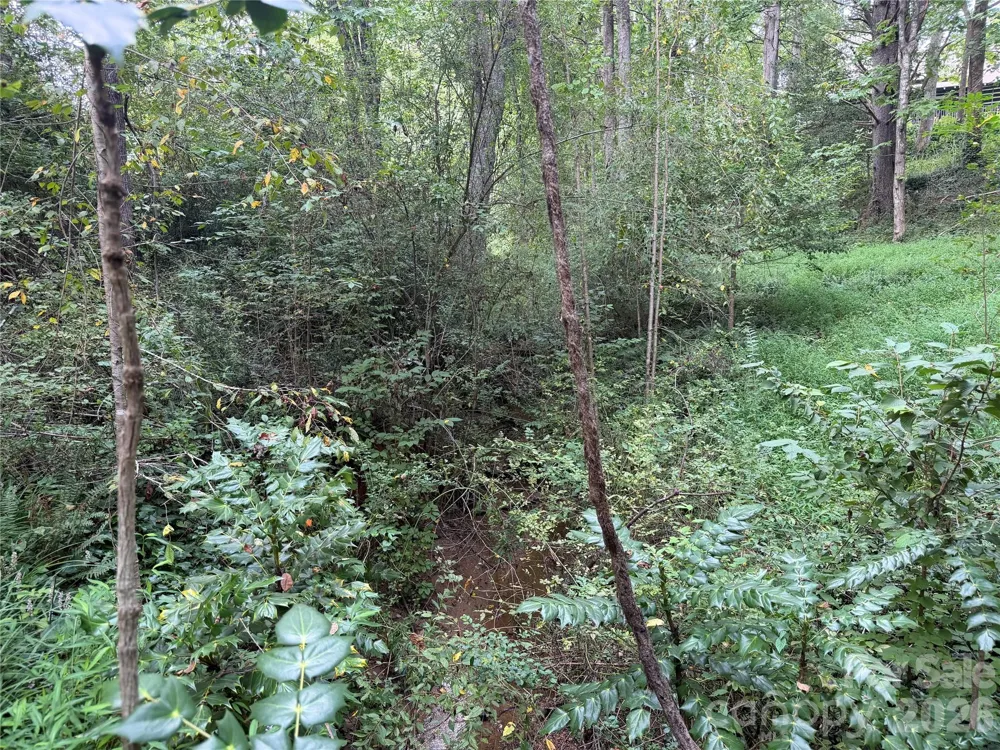 Off Meadowbrook Circle Brevard, NC 28712