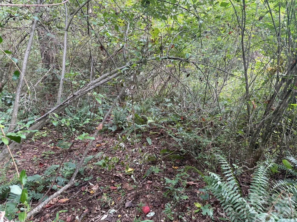 Off Meadowbrook Circle Brevard, NC 28712