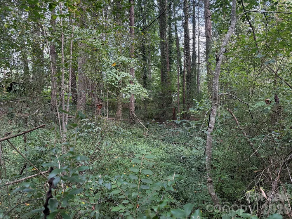 Off Meadowbrook Circle Brevard, NC 28712