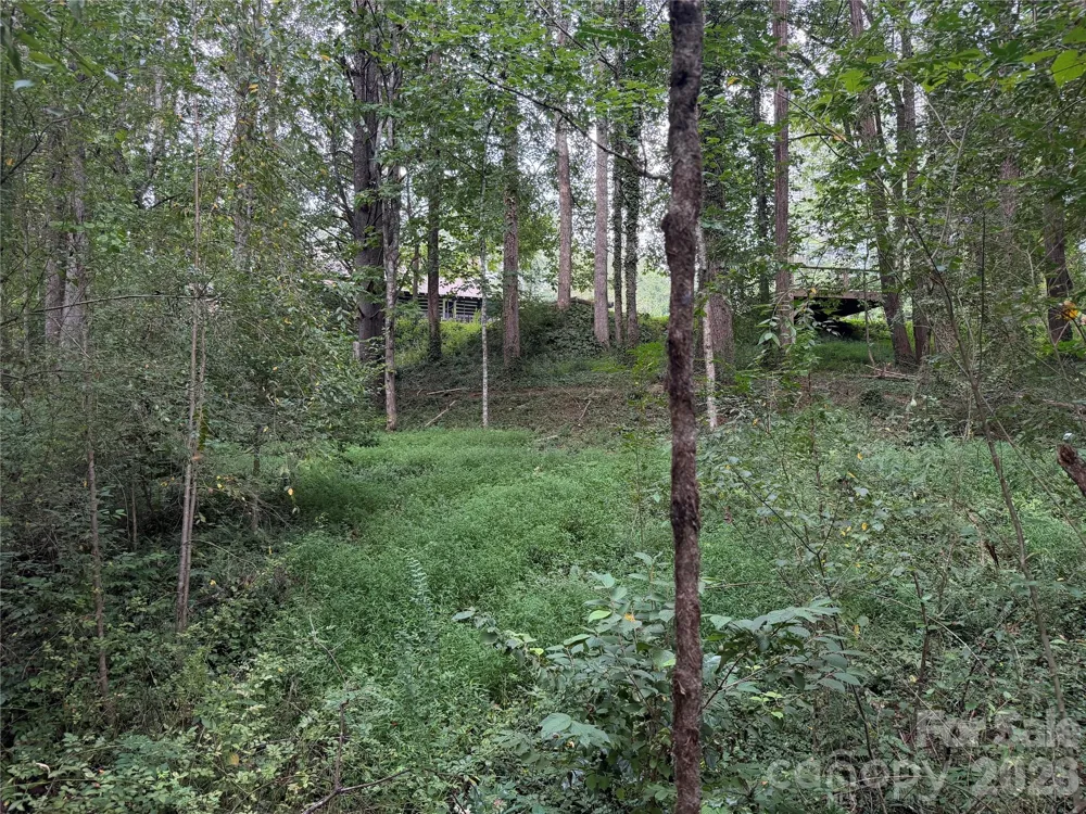 Off Meadowbrook Circle Brevard, NC 28712