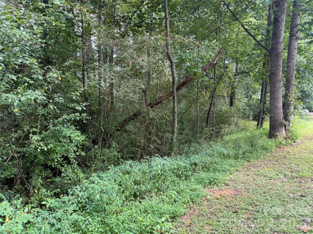 Off Meadowbrook Circle Brevard, NC 28712