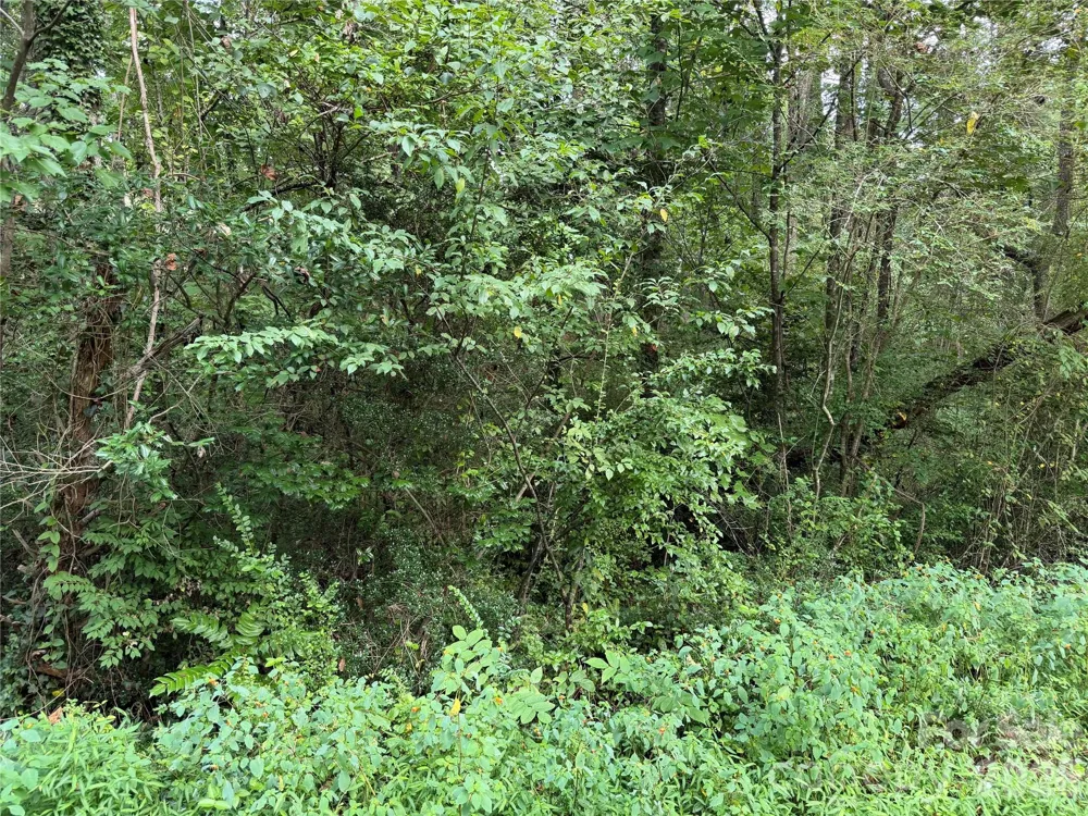 Off Meadowbrook Circle Brevard, NC 28712
