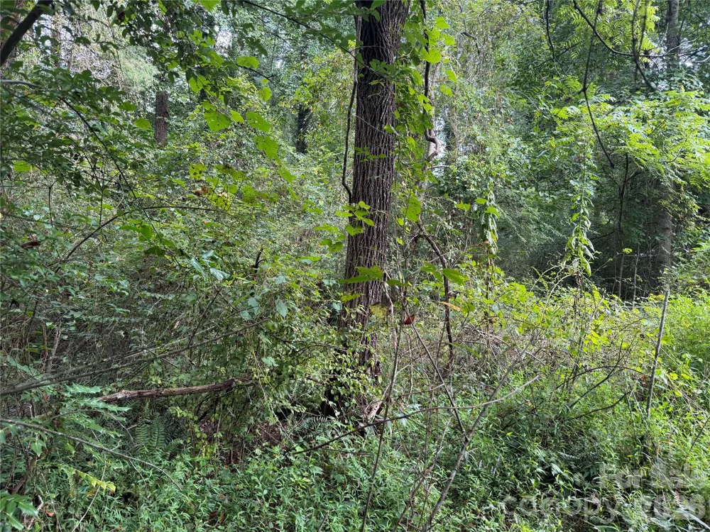 Off Meadowbrook Circle Brevard, NC 28712