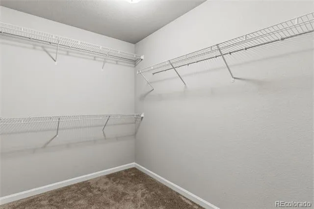 4055 Tiberias Point Colorado Springs, CO 80916