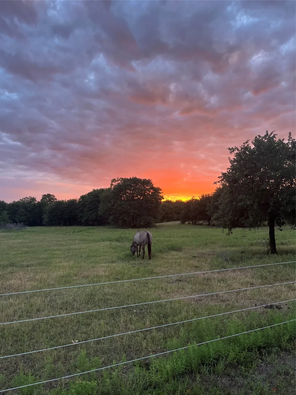 12613 State Highway 36 E Cross Plains, TX 76443