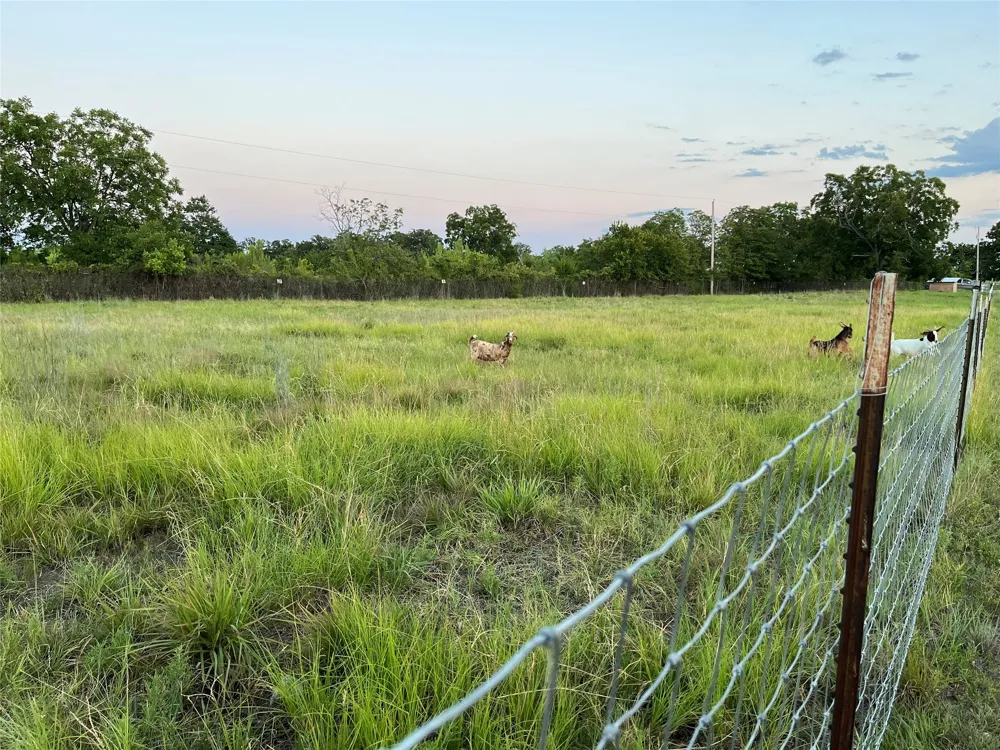 12613 State Highway 36 E Cross Plains, TX 76443