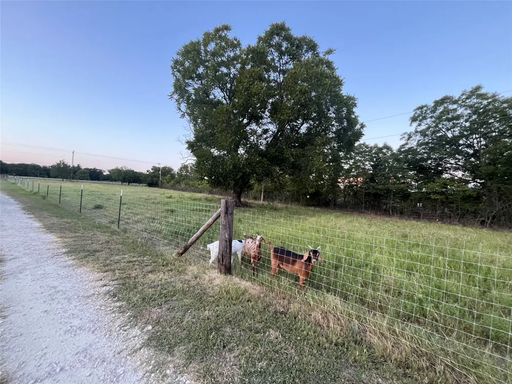12613 State Highway 36 E Cross Plains, TX 76443