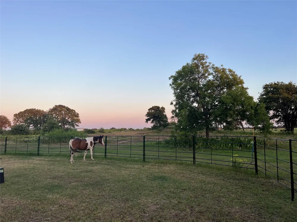 12613 State Highway 36 E Cross Plains, TX 76443
