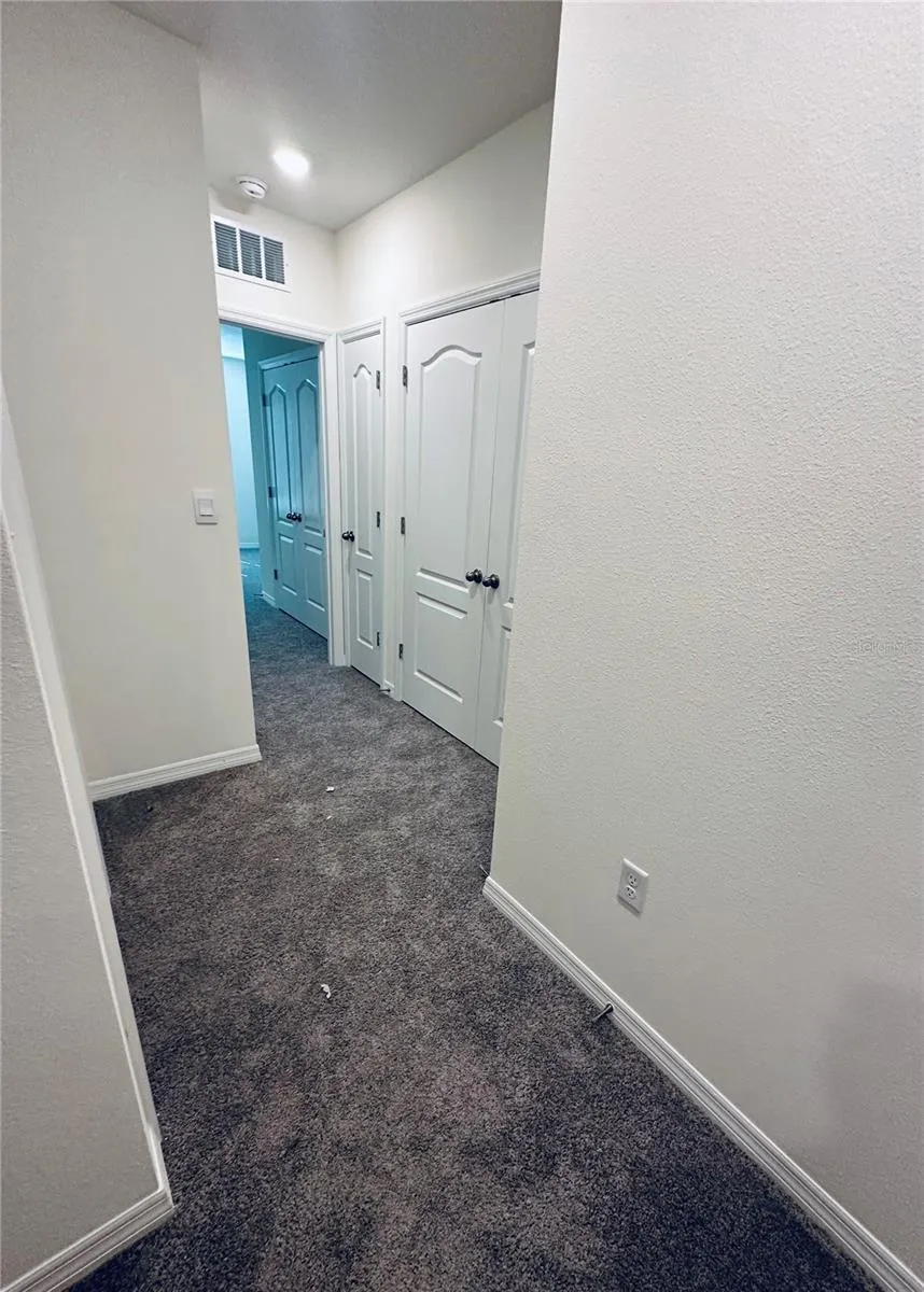 1232 DRAINTREE STREET Davenport, FL 33837