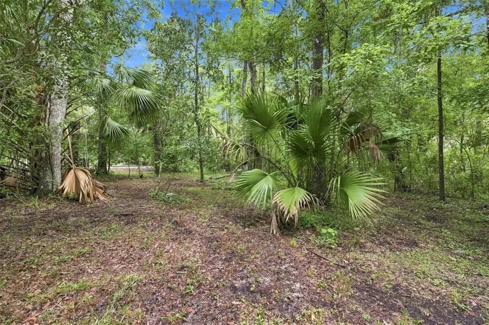 16205 PERIMETER DRIVE Brooksville, FL 34614