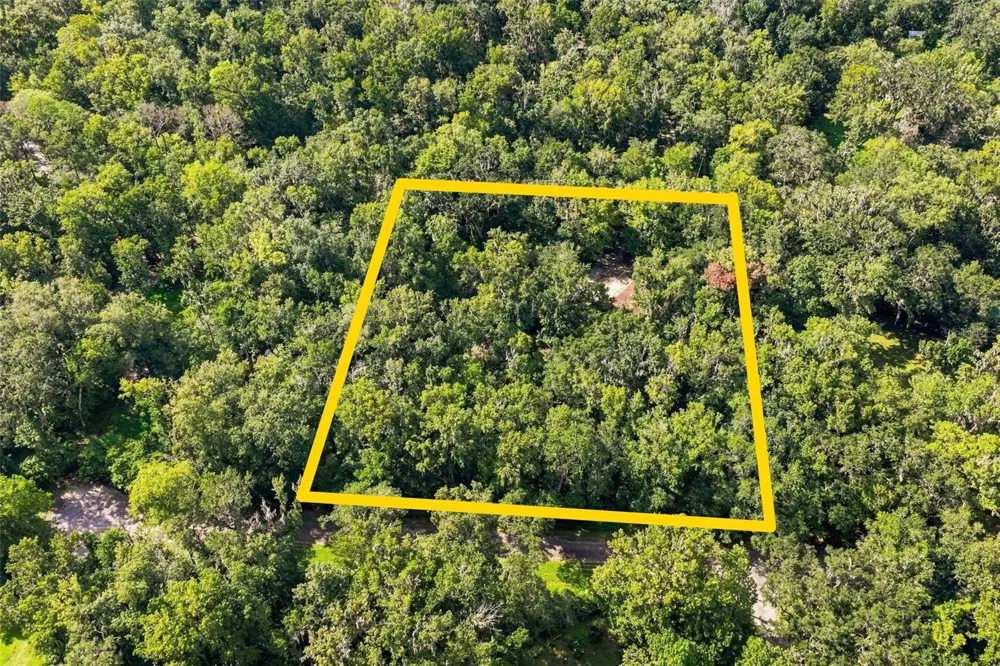 16205 PERIMETER DRIVE Brooksville, FL 34614