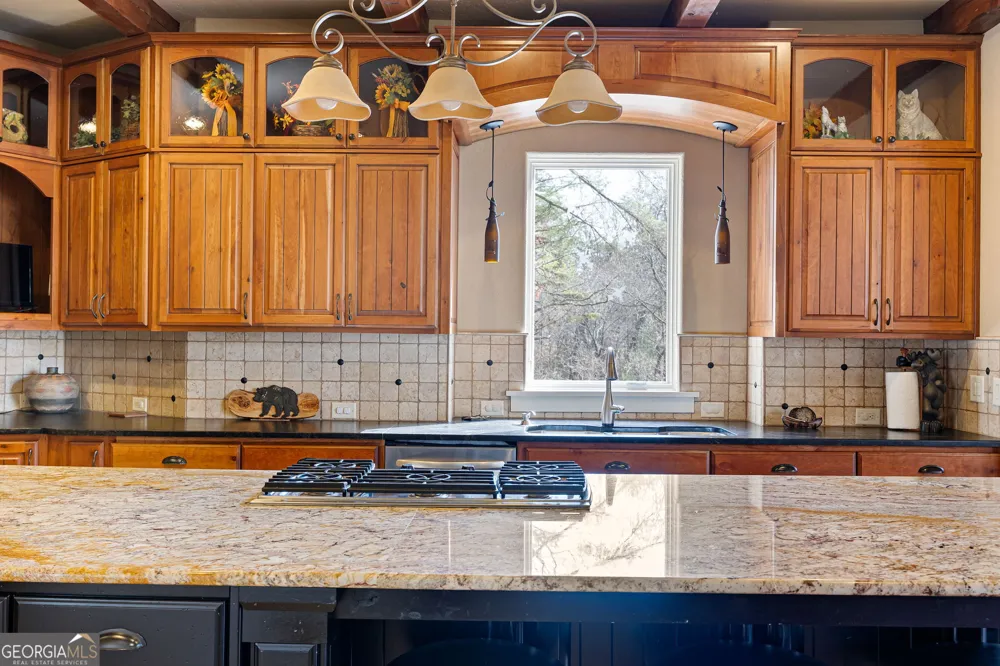 928 Black Bear TRL Jasper, GA 30143