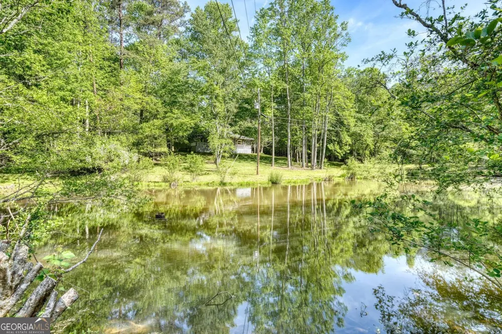 1493 Greasy Creek Road Brasstown, NC 28902