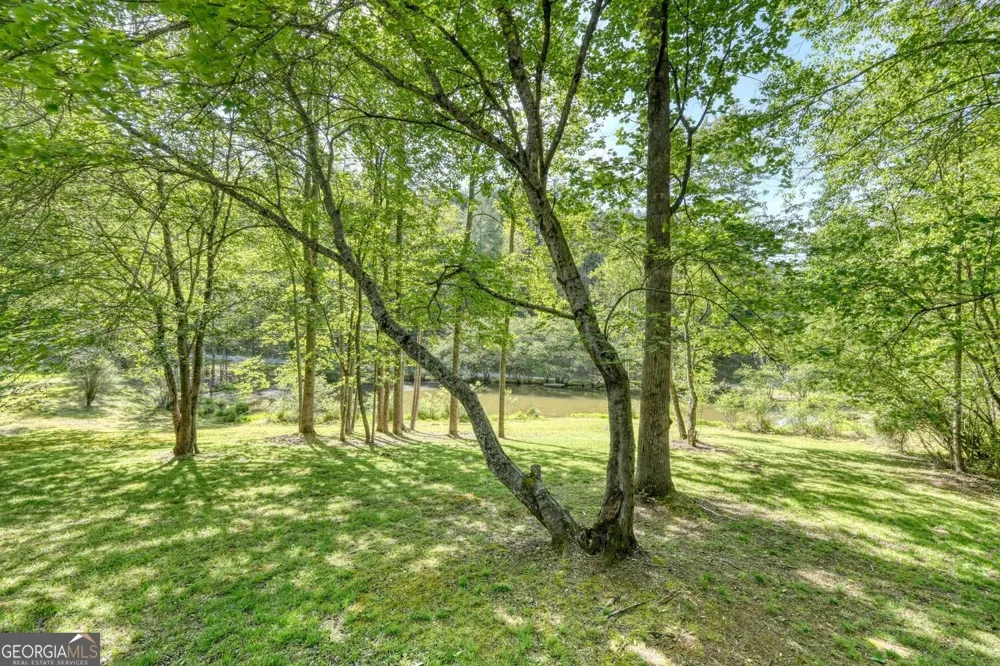 1493 Greasy Creek Road Brasstown, NC 28902