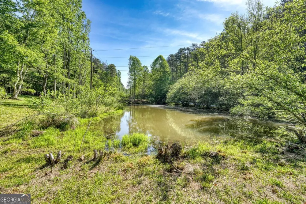 1493 Greasy Creek Road Brasstown, NC 28902