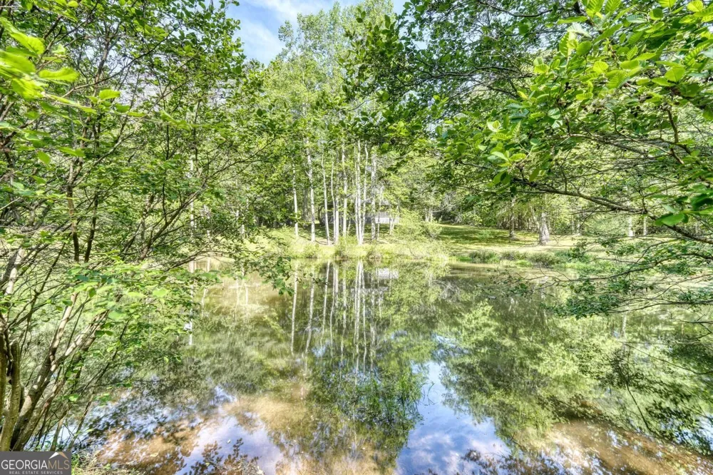 1493 Greasy Creek Road Brasstown, NC 28902