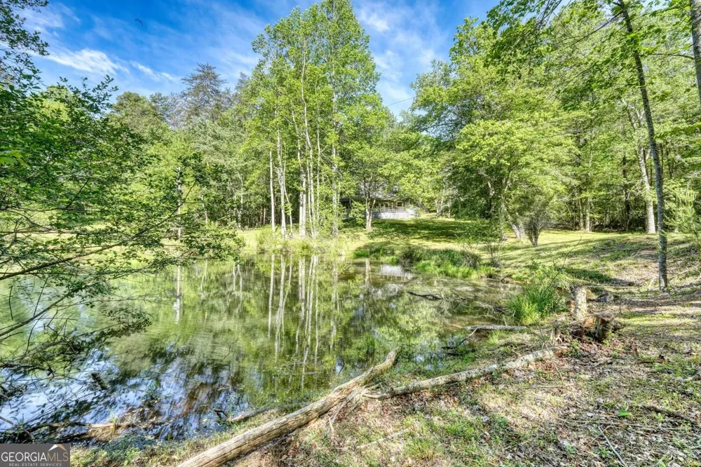 1493 Greasy Creek Road Brasstown, NC 28902